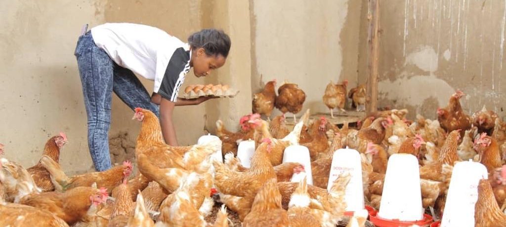 Kirabo phionah collecting eggs - DOT Rwanda